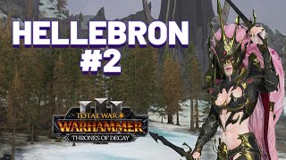 Hellebron Lets Play 2  Total War Warhammer 3 [upl. by Monti154]