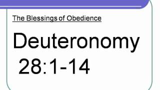 Deuteronomy 28114 [upl. by Wadell]