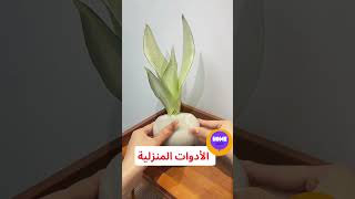 أدوات منزلية 🤩 يتم تقديم كل شيء في الوصف اكسبلور [upl. by Nnahtebazile]