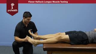 Flexor Hallucis Longus Muscle Test Palp Dr Vizniak Muscle Manual [upl. by Atekram]