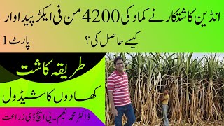 How Indian Farmer got 4200 Maundsacre Yield of Sugarcane CyberAgriExtension Fertilizer Plan [upl. by Coniah312]