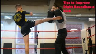 How to PERFECT the Muay Thai Roundhouse kick [upl. by Quinlan]