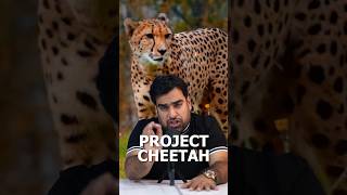 Project Cheetah  India में चीतो की वापसी का असली कारण shorts reels news wildlife [upl. by Adelaida]