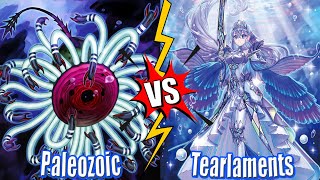 Paleozoic vs Tearlaments  High Rated DB YuGiOh 2024 [upl. by Marlea]