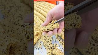 The Chinese make sesame seeds😲 shortvideo amazingfacts [upl. by Retswerb]