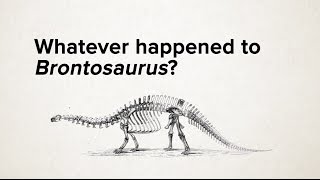 Whatever happened to Brontosaurus [upl. by Metts]