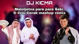 DJ KICMA REMIX Šeki amp Crni Cerak Maloljetna Pare Pare mashup remix [upl. by Noloc643]