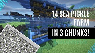 The Ultimate Sea Pickle Paradise A Guide to the Most Optimized Farm 120x [upl. by Hyde185]