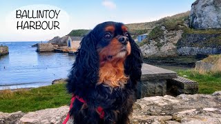 Ballintoy Harbour Co Antrim Northern Ireland [upl. by Wivinia]