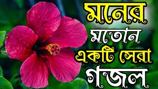 মনের মতোন একটি বাংলা সেরা নতুন গজল Bangla gojolGojolgojol jikirgojol gozal [upl. by Jorgenson36]