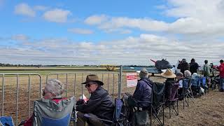 Tigermoth Temora 2024 [upl. by Colton252]