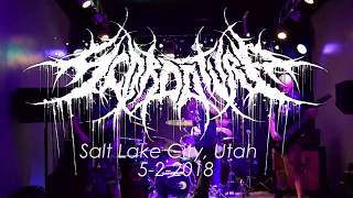 Scordatura  Servants of Entrapment LIVE in Utah 522018 [upl. by Ominorej513]