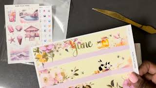 Planner Haul Nikki Plus ThreeNotebook TherapyPaper Minty Studio [upl. by Allerbag]