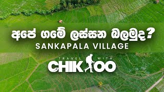 Exploring Sankapala Village in Sri Lanka  SANKAPALA VILLAGE  TRAVEL WITH CHIKOO [upl. by Cornwall]