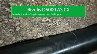 Rivulis D5000 CX  Die größte Tropfleitung unter der Erde [upl. by Abocaj]