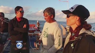 Hokulea crew approaches Kermadec Islands [upl. by Alo513]