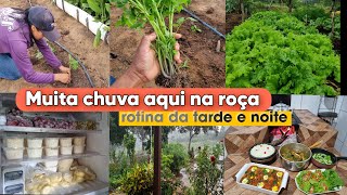 Há muitos anos não chovia assim🙌janta no fogão de lenhacomida mineira deliciosacuidados na horta [upl. by Enomas]