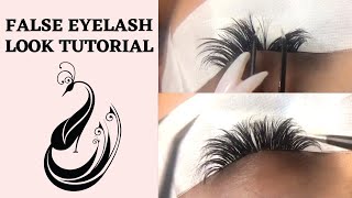 How to get False Eyelash Strip Eyelash Look  Eyelash Extensions Tutorial  Hand Made Fans ft Bia [upl. by Sordnaxela664]