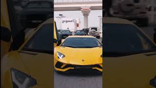 Gaddi Lamborghini Peele Rang De song shorts shortsindia lamborghini [upl. by Tiraj]