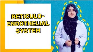 Reticuloendothelial system Notes in description Immunity [upl. by Eri579]