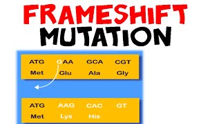 Frameshift mutation [upl. by Nreval]