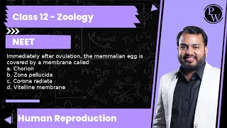 Immediately after ovulation the mammalian egg is covered by a membrane called a Chorion b Zona [upl. by Nomaj931]