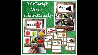 Sorting Non Identicals for Special Education and Autism [upl. by Orelle]