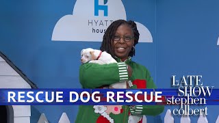 Rescue Dog Rescue With Whoopi Goldberg [upl. by Nuli]