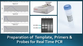 Guidelines for preparation amp Handling of Template Primers amp Probes for real time PCR [upl. by Harvard]