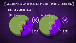 Explaining Herbicide Resistance Herbicide modes of action [upl. by Xavler760]