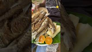 SIN APETITO🙂🐟🐟puro fósforo 😋 viralreel pescado pescadofresco viralshort viral [upl. by Atteuqaj]