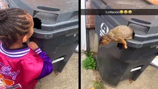 une fille regarde dans les poubelles et est effrayée par un écureuil surprise [upl. by Drucilla]