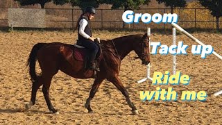 GROOM TACK UP AND JUMP WITH ME JUMPING LESSON WITH MY LESSON HORSE MERY [upl. by Yoshiko775]