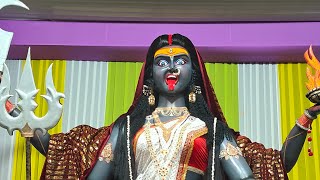 Amla ki maharani arti 2024 live  Mahakali Arti mahakali kali ambemaa aarti [upl. by Namus]