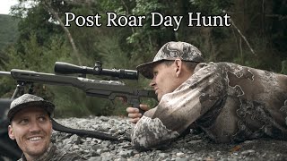 Post Roar Remutaka Morning Hunt [upl. by Eissat]