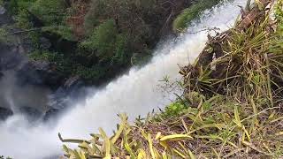 cachoeira do sofá em Araraquara 23102024 [upl. by Rodd]