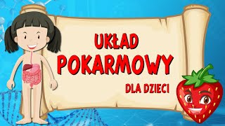 Układ pokarmowy 👅 Film edukacyjny dla DZIECI 🧒 [upl. by Riatsala]