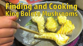 Foraging Edible Mushrooms How to cook and find king bolete mushrooms [upl. by Rubinstein508]