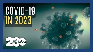 What will the covid pandemic look like in 2023 [upl. by Dragon961]