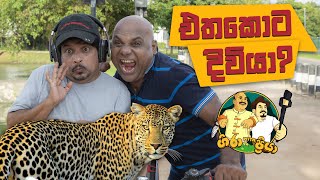 Ethakota Diviya  එතකොට දිවියා  Gira with Priya [upl. by Koran]