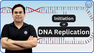 INITIATION OF DNA REPLICATION  ENZYMES IN DNA REPLICATION INITIATION  MOLECULAR BIOLOGY CSIR NET [upl. by Nnil115]