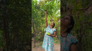 How to make lime pickle  කටට රහට සැරට ලුණු දෙහි හරියට😋😋😋 [upl. by Ayisan399]