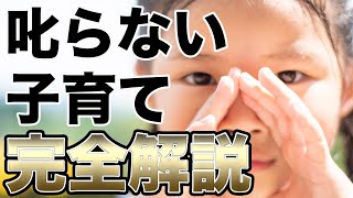 イライラが減る！「叱らない子育て」の考え方と方法とデメリット [upl. by Novert353]