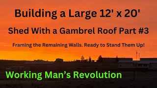 Building a Large 20 x 12 Shed with Gambrel Roof Part 3 Building the remaining 3 walls [upl. by Ymmak768]