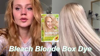 Bleaching Hair with Box Dye [upl. by Lette]