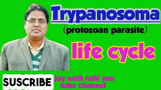 TrypanosomaLife Cycle [upl. by Vick]