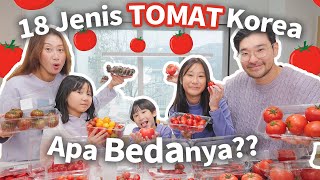 BORONG DAN COBA SEMUA JENIS TOMAT KOREA 🍅 [upl. by Enaz]