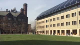 Sustainability at Yale A Closer Look [upl. by Burkitt]