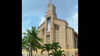 Mt Carmel Shrine Live Stream  Liturgical Services [upl. by Tempa]