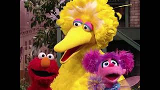 Sesame Street  Three Episode 4149 English [upl. by Hedve]